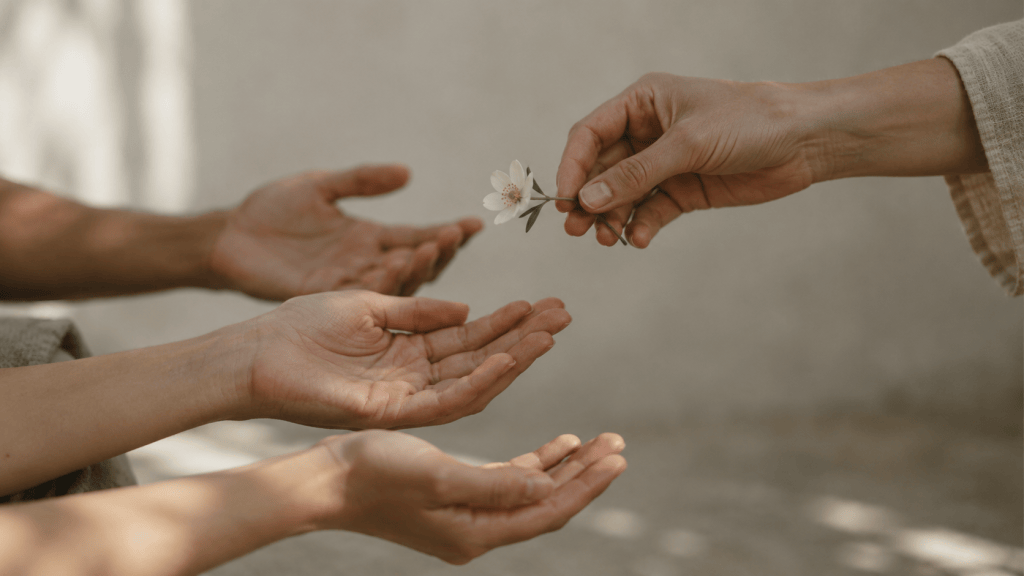 Mehrere offene Hände, denen eine kleine weiße Blume gereicht wird